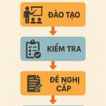 quy trình cấp thẻ an toàn lao động
